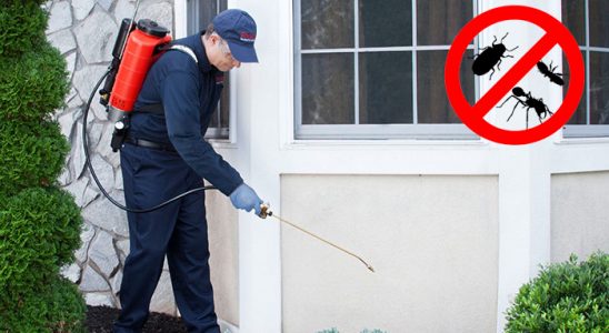 Erdemli Hamam Böceği İlaçlama böcek ilaçlama ve haşere kontrolü — ilaclama-tr.com